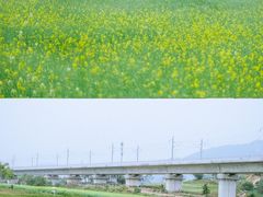 -光明小镇欢乐田园