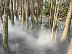 -东湖落雁景区