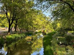 -上海共青森林公园