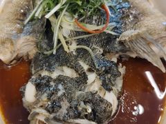 -陶缘一号·四季缘·老字号顺德菜·户外婚礼家宴(西滘店)