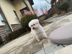 -大连金石滩绿发温泉假日酒店