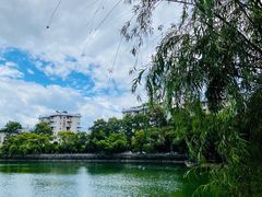 景观位-又至园精品咖啡馆(将军塘店)