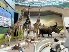 -陕西自然博物馆