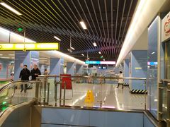 -大龙山(地铁站)