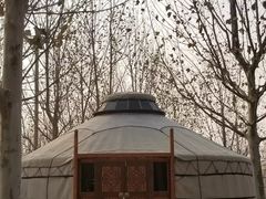 -九十九顶毡房(阜石路店)