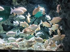 -常州海昌海洋探索馆