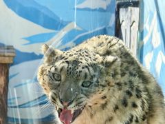 -青藏高原野生动物园