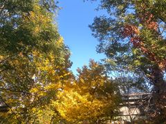 -北京西山国家森林公园