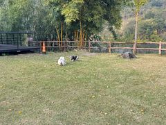 -龙潭生态旅游度假区