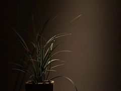 -见山茶事(丽水路店)