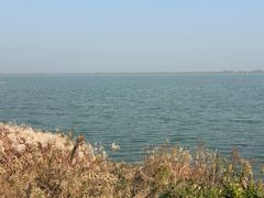 -江滩湿地公园