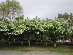 -钱江新城