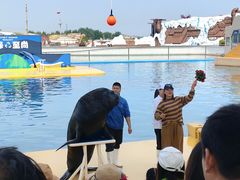 -秦皇岛乐岛海洋王国