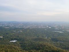 -紫金山山顶公园