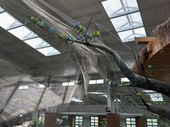 -南宫五洲植物乐园