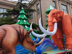 -国家自然博物馆