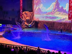 -华夏文旅海洋公园