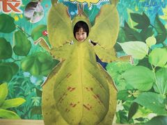 -上海昆虫博物馆