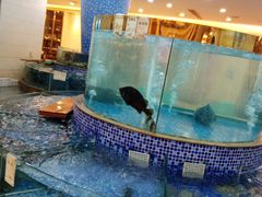 大堂-太子园林酒家