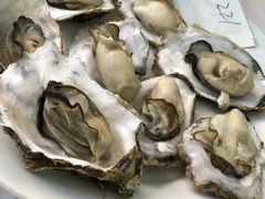 水煮生蚝-渔民船说·北塘海鲜·天津菜·海肠捞饭(北塘古镇店)