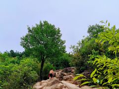 -灵岩山风景区