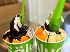 -Salud撒露欧洲冻酸奶(蓝色港湾店)