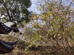 -灵顺寺