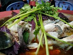 石锅鱼-重庆火锅水库鱼庄(南油店)