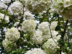 -大龙山(地铁站)