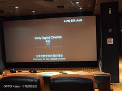 -华美国际影城(旧宫永辉店)