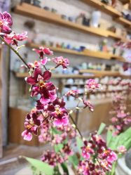 -今日陶艺(富力广场店)