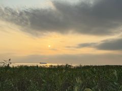 -小六农家乐(崇明西沙湿地店)