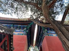 -北京国子监胡同