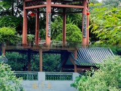 -广州神农草堂中医药博物馆