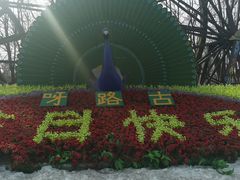 -呀路古热带植物园