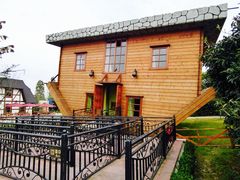 -金山农民画村-枫泾波兰倒置屋