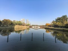 -西海子公园