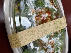 -油梨树AVOCADO TREE(顺义新国展店)