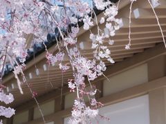 -醍醐寺