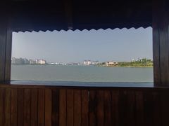 -九龙湖公园