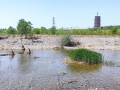 -永定河休闲森林公园