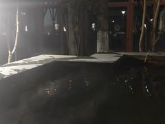 -张家港金凤凰度假村温泉
