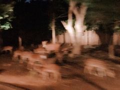 -清迈夜间动物园