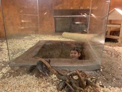 -酷嗒动物文化乐园(cutezoo西溪乐天城店)