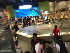 -香港科学馆