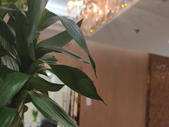 -红菜坊·烤鸭·川鲁宴(石园店)
