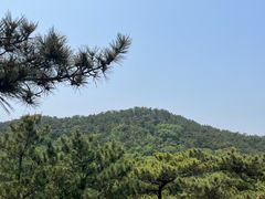 -北岭山森林公园