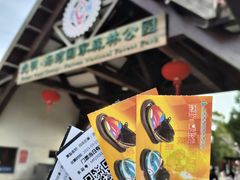 -上海海湾国家森林公园