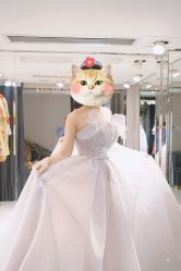 点击看大图 -GRACE KELLY婚纱与礼服(北京店)