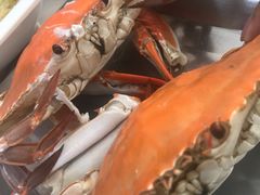 海蟹-渔民船说·北塘海鲜·天津菜·海肠捞饭(北塘古镇店)